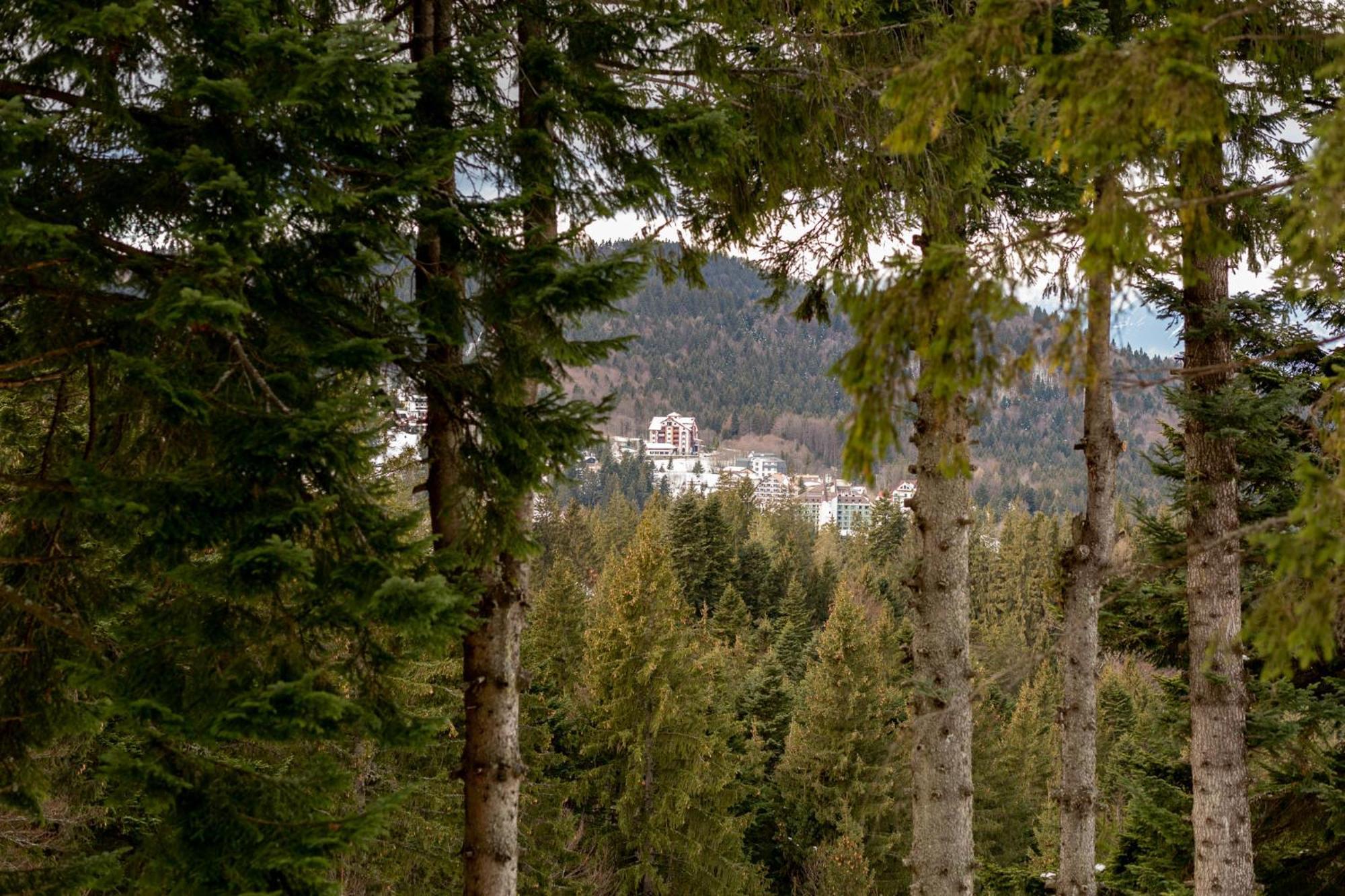 Eden Grand Resort Predeal Εξωτερικό φωτογραφία